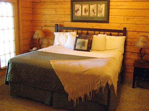 Cabins At Grand Mountain By Thousand Hills Resort 布蘭森 外观 照片